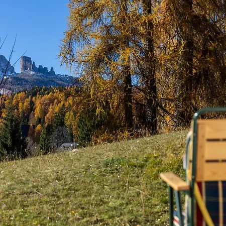 Cortina - 22 Pocol