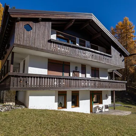 Cortina - 22 *
